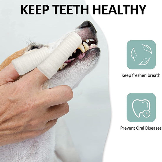 Pet Finger Toothbrush for Dogs and Cats Oral