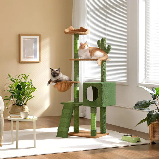 Cactus Cat Tree with Climbing Ladder