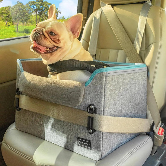 PETSFIT Small Dog Booster Car Seat with Safety Buckles & Tether, Foldable