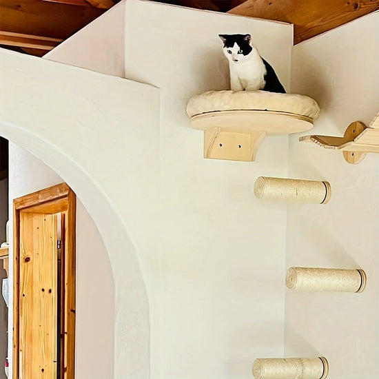 Wall Mounted Solid Wooden Climbing Ladder and Cat Hammock