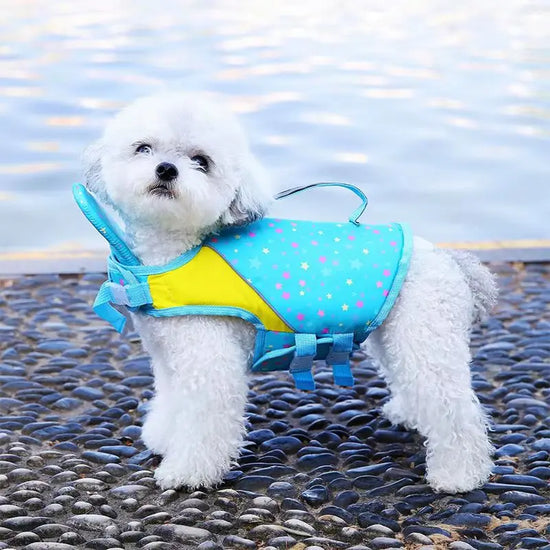 Beach Buoyant Swimming Dog Life Jacket
