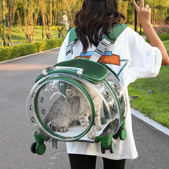 Portable Pet Trolley Backpack