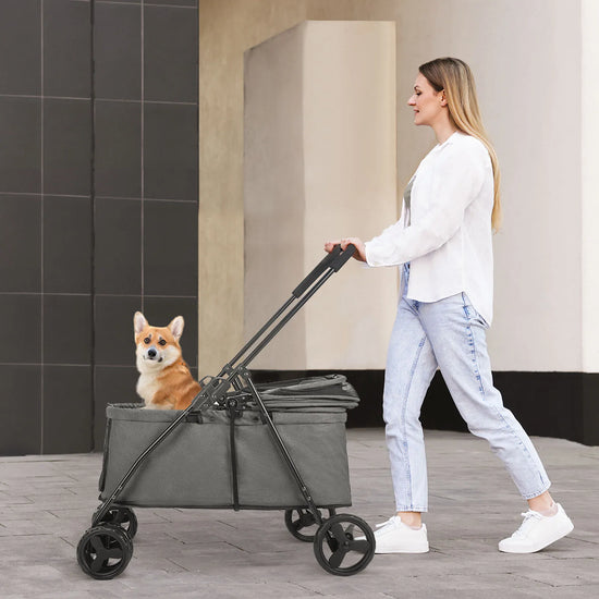 Luxury Dog Puppy Stroller with Brakes