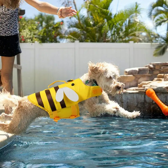 Bumblebee Dog Life Vest with Quick-Release