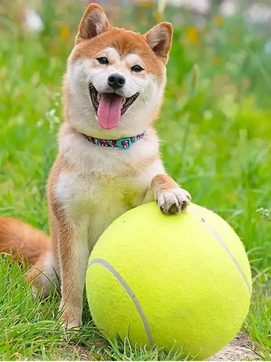 9.5in Giant Pet Tennis Ball