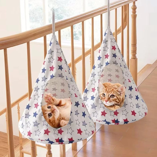 Hanging Hammock Cat Tent