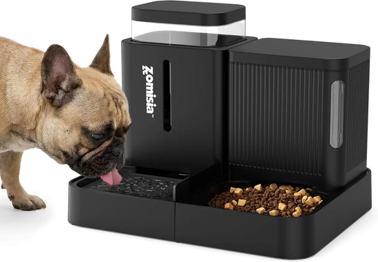 Gravity Design Automatic Pet Feeder and Water Dispenser