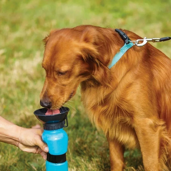Multifunctional Portable Pet Water Bottle