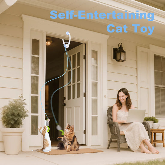 Electric Door Hanging Interactive Cat Toy