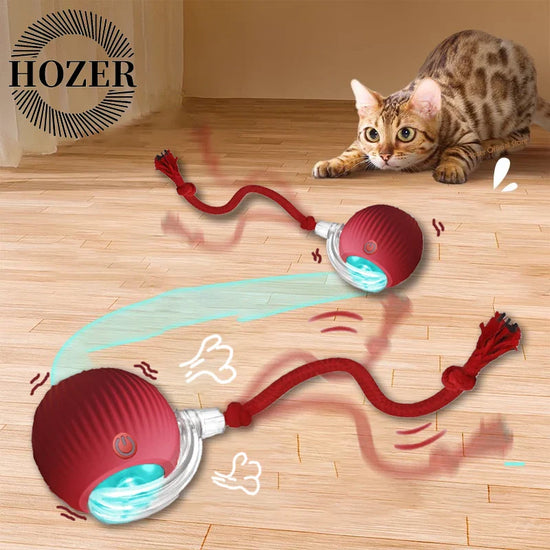 Interactive Cat Ball | Automatic Rolling Toy with Motion Sensors