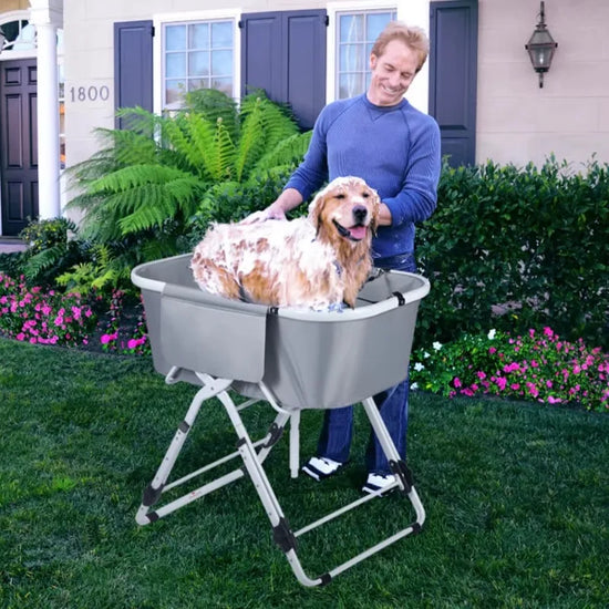 Elevated Foldable Dog Bathing Station