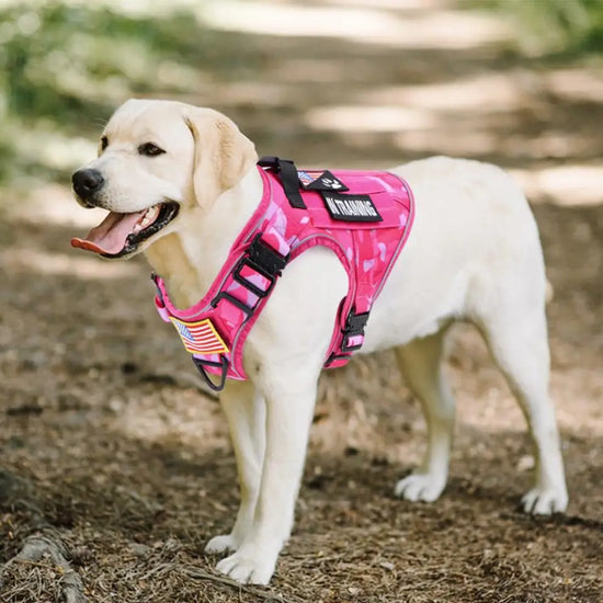Pink Camo Adjustable Harness Safety Service Dog Vest