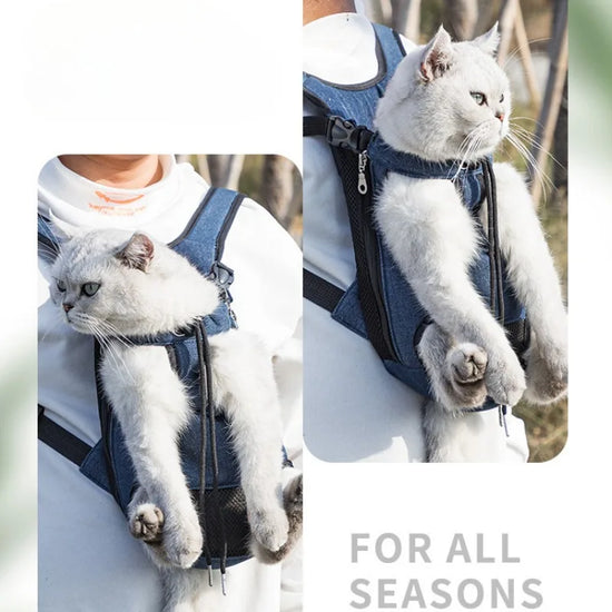 Double Shoulder Breathable Pet Carrier Backpack