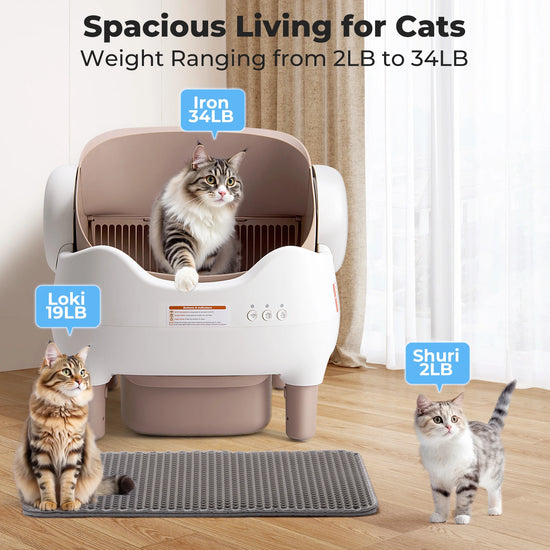 Automatic Self Cleaning Litter Box with APP Control