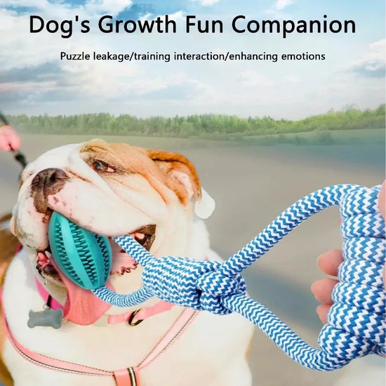 Interactive Dog Chew Treat Ball