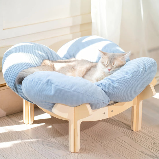 Raised Wooden Cat Bed with a Soft Comfy Cushion