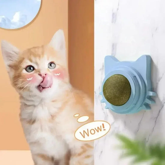 Lickable Teeth Cleaning Catnip Ball Chew Toy