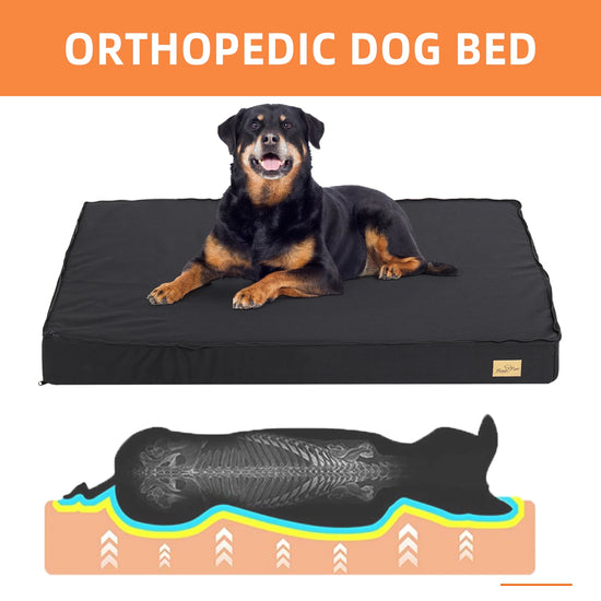 Orthopedic Dog Bed with Waterproof Lining and Non-Slip Bottom