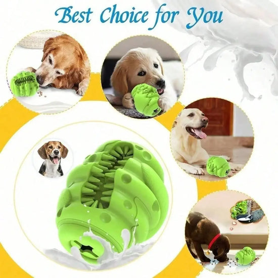 Indestructible Dog Food Dispensing Chew Toy