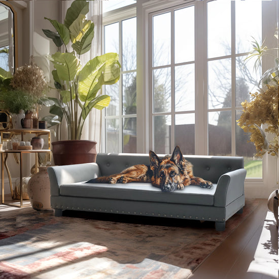Rectangle Pet Bed for Medium and Large Dogs, Durable Elevated Dog Sofa