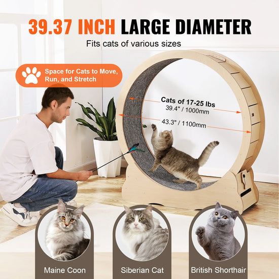 Wooden Cat Exercise Running Wheel with Detachable Carpet