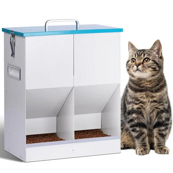 10L Automatic Pet Feeder for Dogs and Cats
