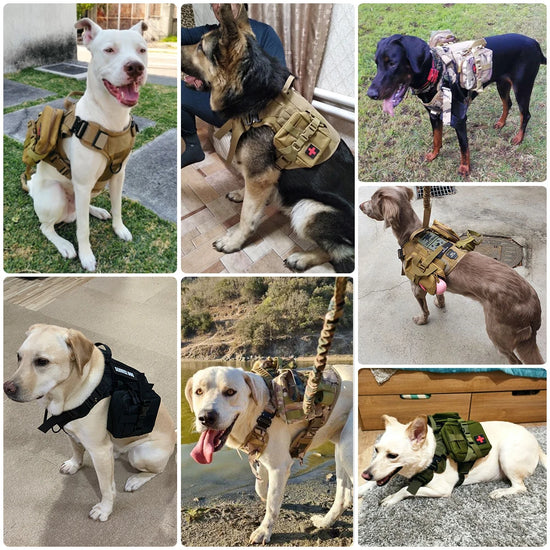 Tactical Military Dog Harness Leash Set