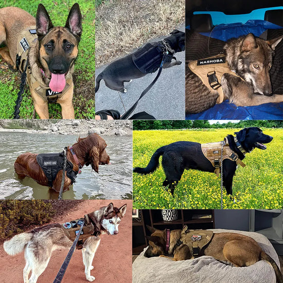 Tactical Military Dog Harness Vest Leash Set for Large Dogs