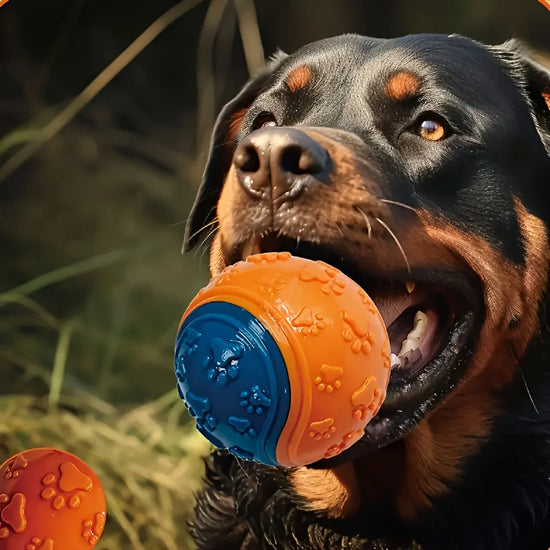 2-Pack Squeaky Durable Dental Health Chew Ball