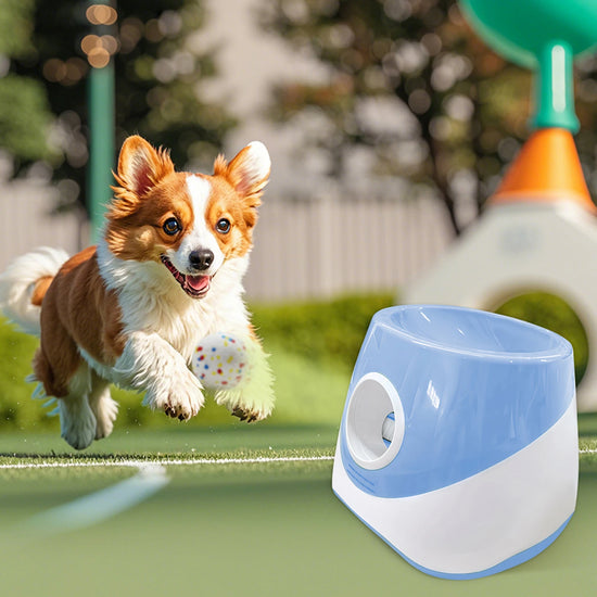 Dog Ball Thrower Launcher with 3 Tennis Balls Automatic Dog Ball Launcher Rechargeable Small Dog Ball Thrower for Small Dogs