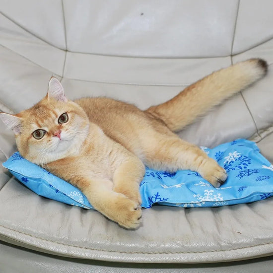 Foldable Gel Cooling Mat with Ice Crystals