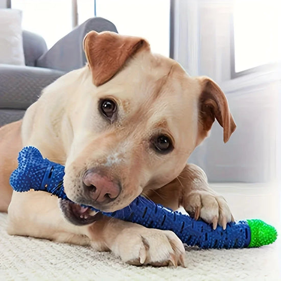 Durable Dental Chew Toy Teeth Grinding Stick