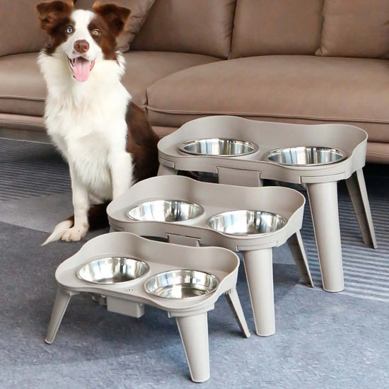 Elevated Dog and Cat Feeder with No Spill Design
