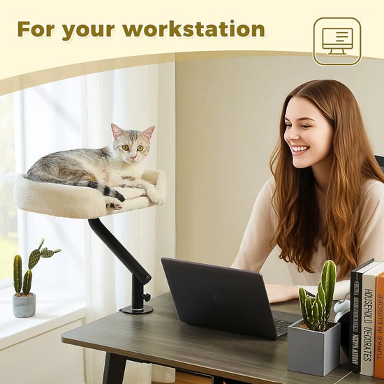 Rotatable Cat Desk Bed, 360°