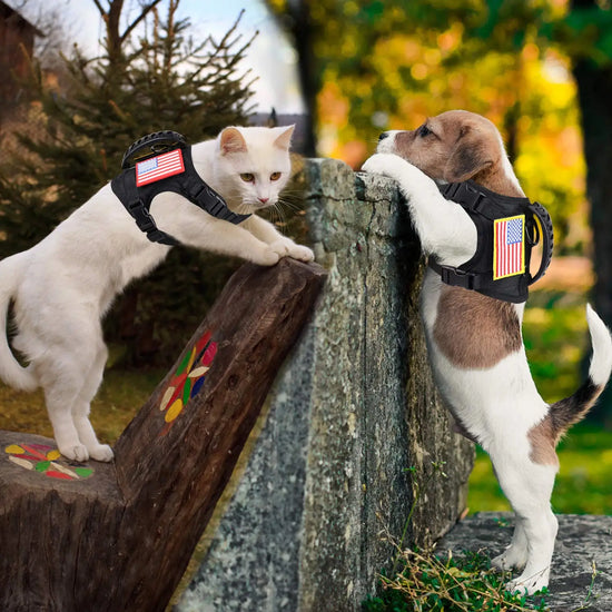Tactical Puppy and Cat Harness Leash Set