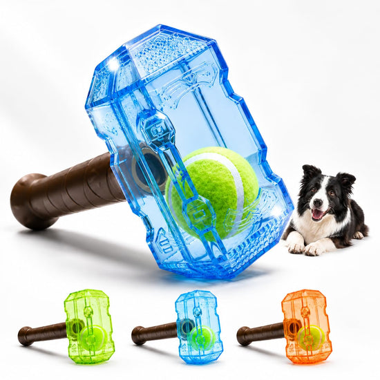 Tennis Ball In Bottle Interactive Dog Chew Toy